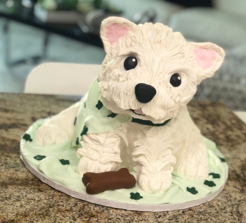 278059445 1019481898670000 8112173276306094882 n 1